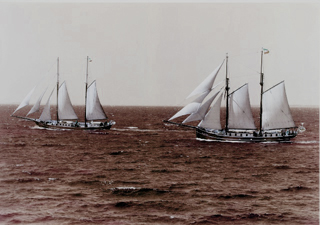 1353sepiamitschwester320x.jpg