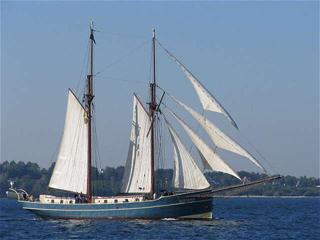 135segel320x.jpg